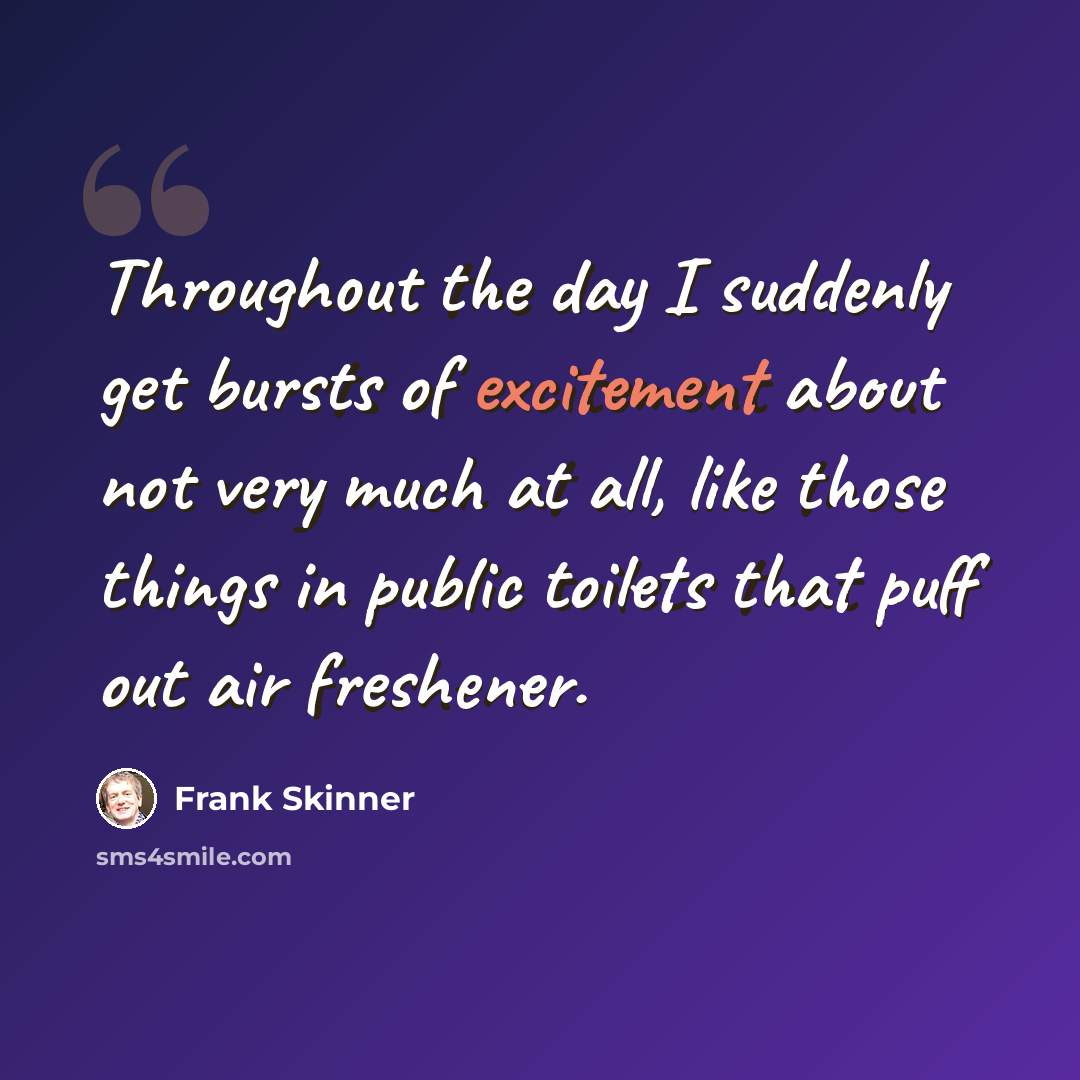 “Throughout the day I suddenly get bursts of excitement about not very much at all, like those things in public toilets that puff out air freshener.” quote by Frank Skinner
