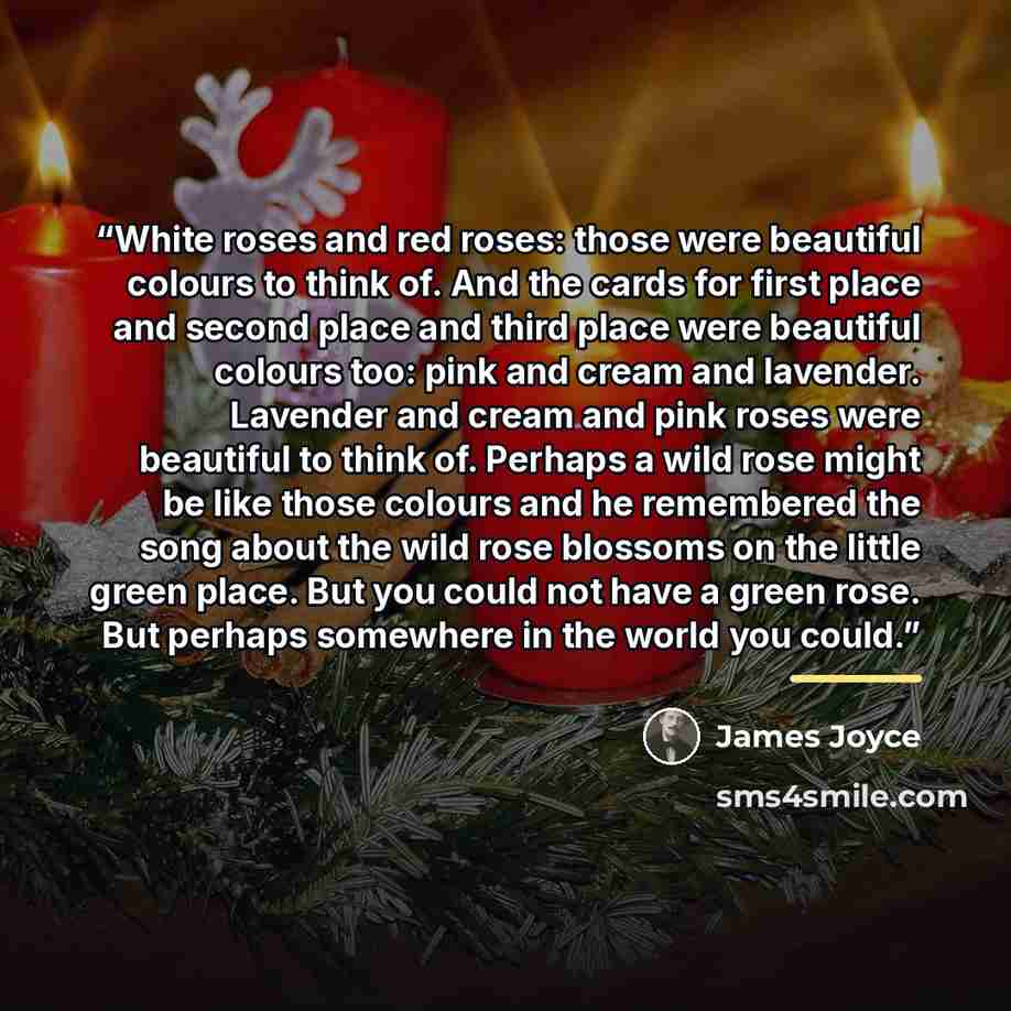 “White roses and red roses: those were beautiful colours to think of. And the cards for first place and second place and third place were beautiful colours too: pink and cream and lavender. Lavender and cream and pink roses were beautiful to think of. Perhaps a wild rose might be like those colours…” quote by James Joyce