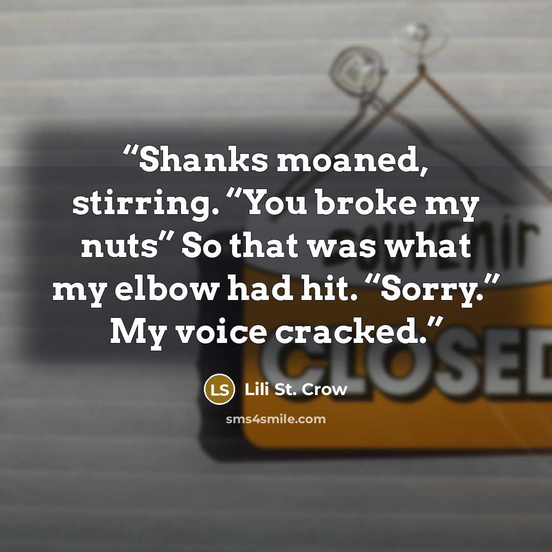 “Shanks moaned, stirring. “You broke my nuts” So that was what my elbow had hit. “Sorry.” My voice cracked.” quote by Lili St. Crow
