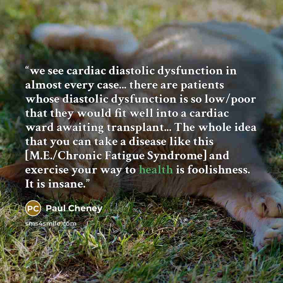 “we see cardiac diastolic dysfunction in almost every case... there are patients whose diastolic dysfunction is so low/poor that they would fit well into a cardiac ward awaiting transplant... The whole idea that you can take a disease like this [M.E./Chronic Fatigue Syndrome] and exercise your way…” quote by Paul Cheney