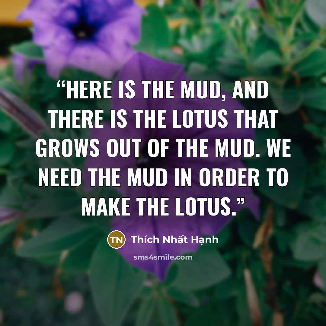 “here is the mud, and there is the lotus that grows out of the mud. We need the mud in order to make the lotus.” quote by Thich Nhat Hanh