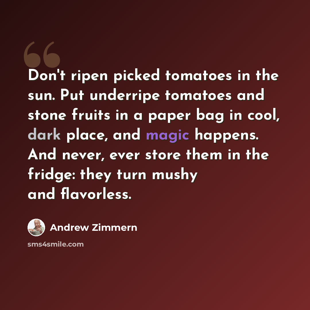 “Don't ripen picked tomatoes in the sun. Put underripe tomatoes and stone fruits in a paper bag in cool, dark place, and magic happens. And never, ever store them in the fridge: they turn mushy and flavorless.” quote by Andrew Zimmern