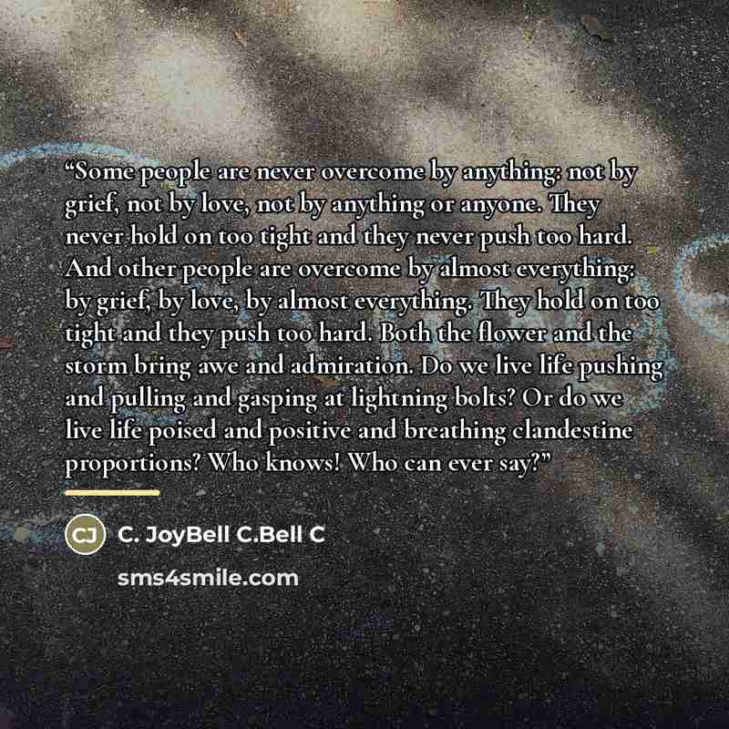 “Some people are never overcome by anything: not by grief, not by love, not by anything or anyone. They never hold on too tight and they never push too hard. And other people are overcome by almost everything: by grief, by love, by almost everything. They hold on too tight and they push too hard…” quote by C. JoyBell C.Bell C