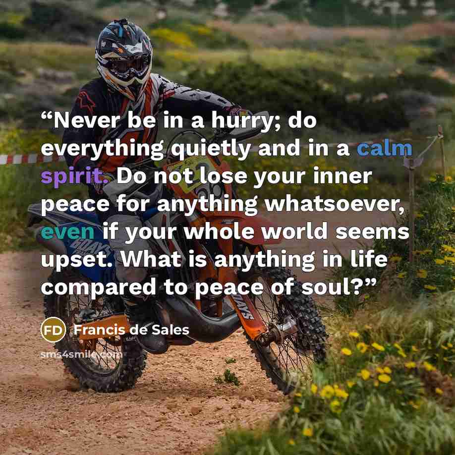 “Never be in a hurry; do everything quietly and in a calm spirit. Do not lose your inner peace for anything whatsoever, even if your whole world seems upset. What is anything in life compared to peace of soul?” quote by Francis de Sales