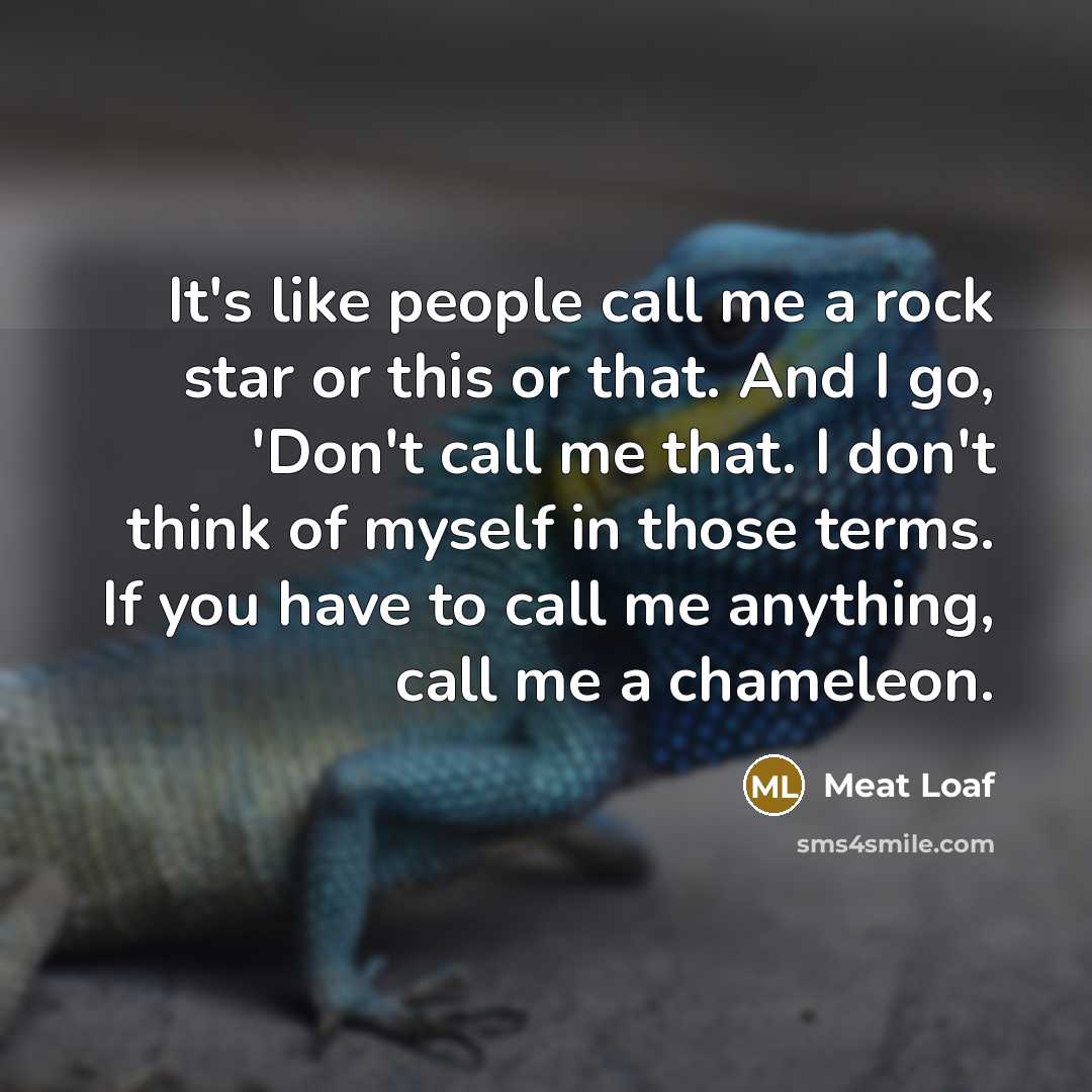 “It's like people call me a rock star or this or that. And I go, 'Don't call me that. I don't think of myself in those terms. If you have to call me anything, call me a chameleon.” quote by Meat Loaf