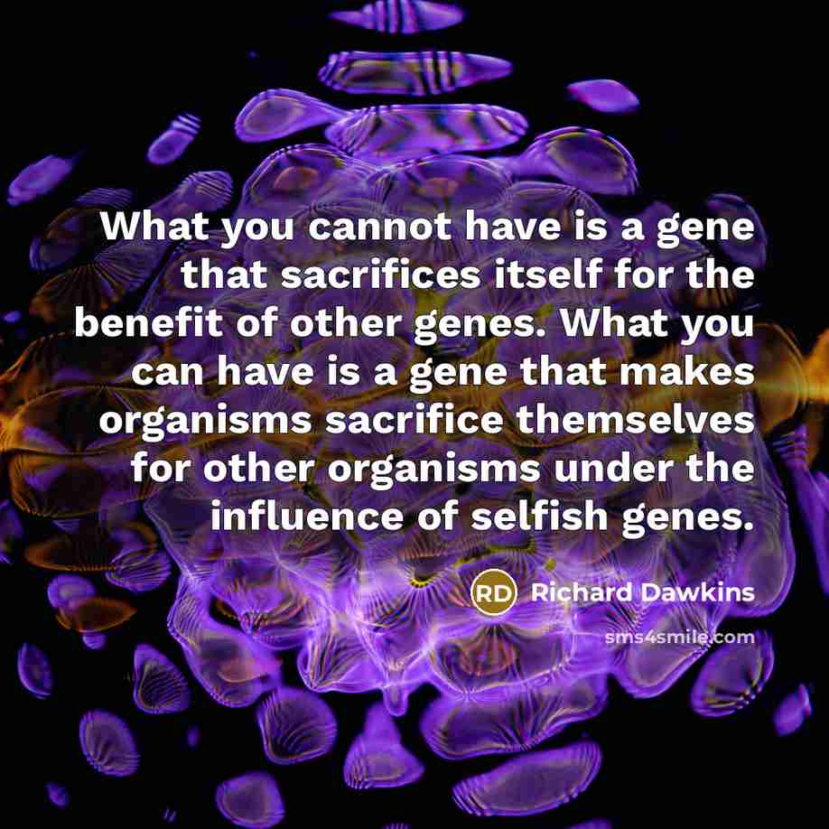 “What you cannot have is a gene that sacrifices itself for the benefit of other genes. What you can have is a gene that makes organisms sacrifice themselves for other organisms under the influence of selfish genes.” quote by Richard Dawkins