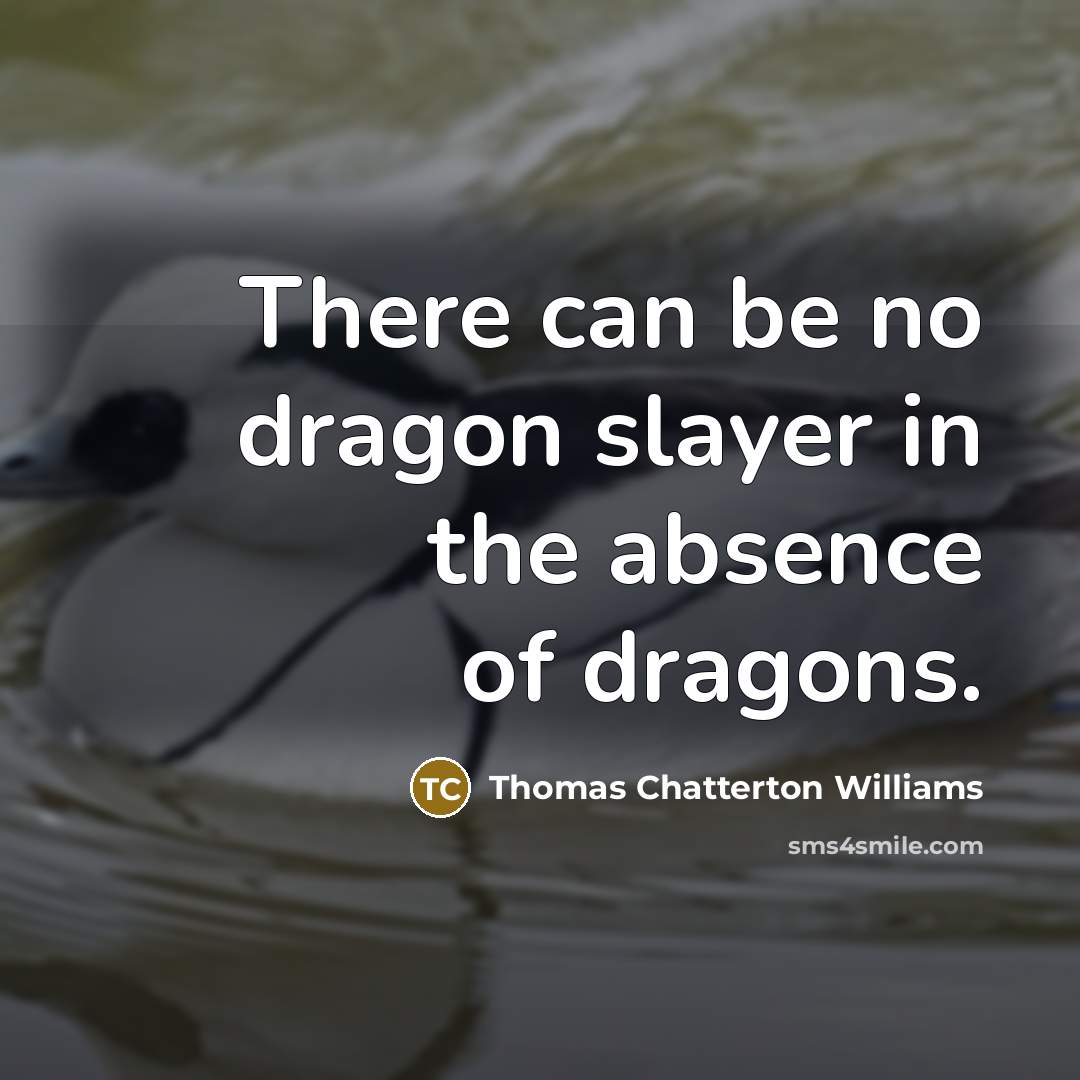 “There can be no dragon slayer in the absence of dragons.” quote by Thomas Chatterton Williams