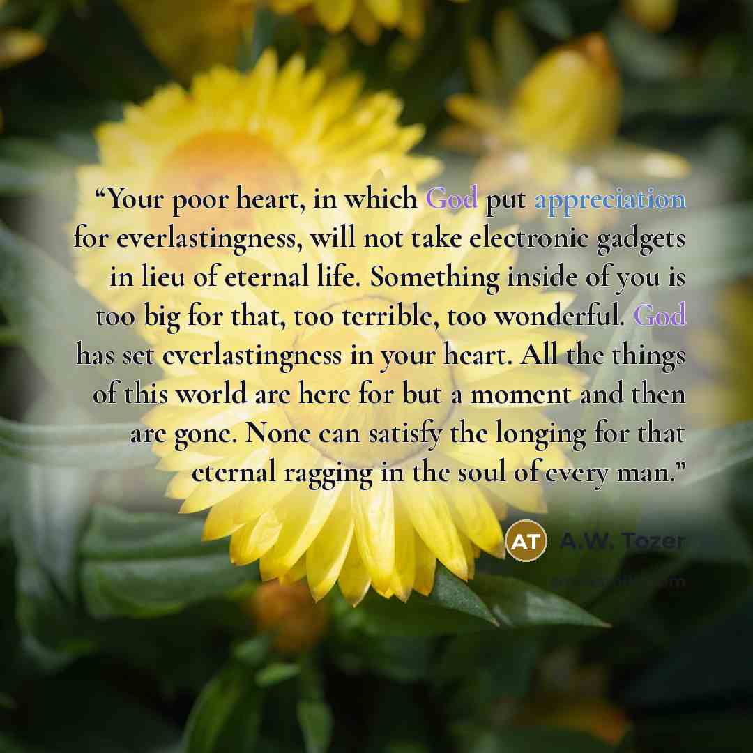 “Your poor heart, in which God put appreciation for everlastingness, will not take electronic gadgets in lieu of eternal life. Something inside of you is too big for that, too terrible, too wonderful. God has set everlastingness in your heart. All the things of this world are here for but a moment…” quote by A.W. Tozer