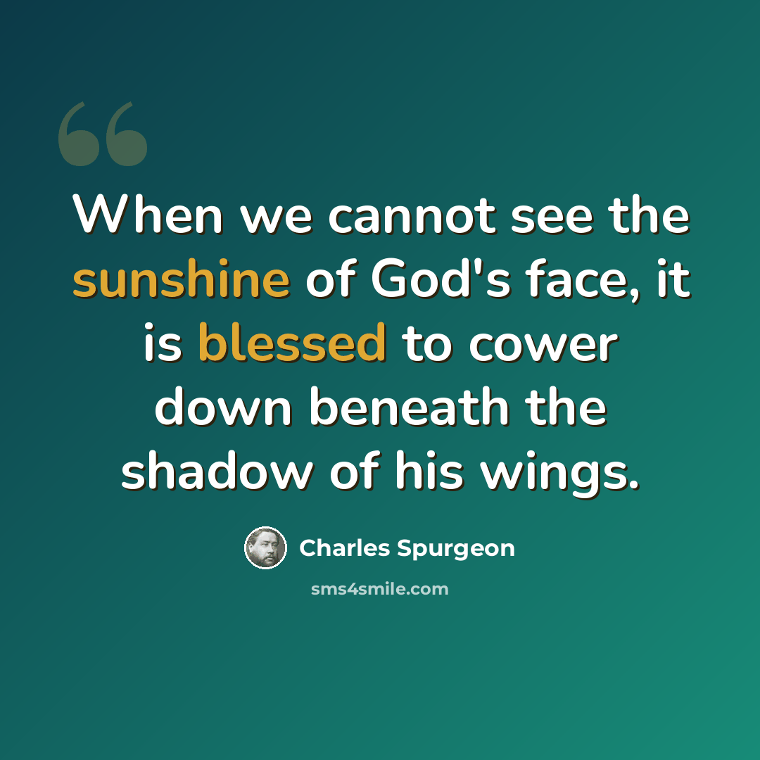 “When we cannot see the sunshine of God's face, it is blessed to cower down beneath the shadow of his wings.” quote by Charles Spurgeon