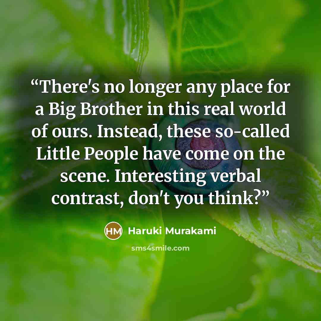 “There's no longer any place for a Big Brother in this real world of ours. Instead, these so-called Little People have come on the scene. Interesting verbal contrast, don't you think?” quote by Haruki Murakami