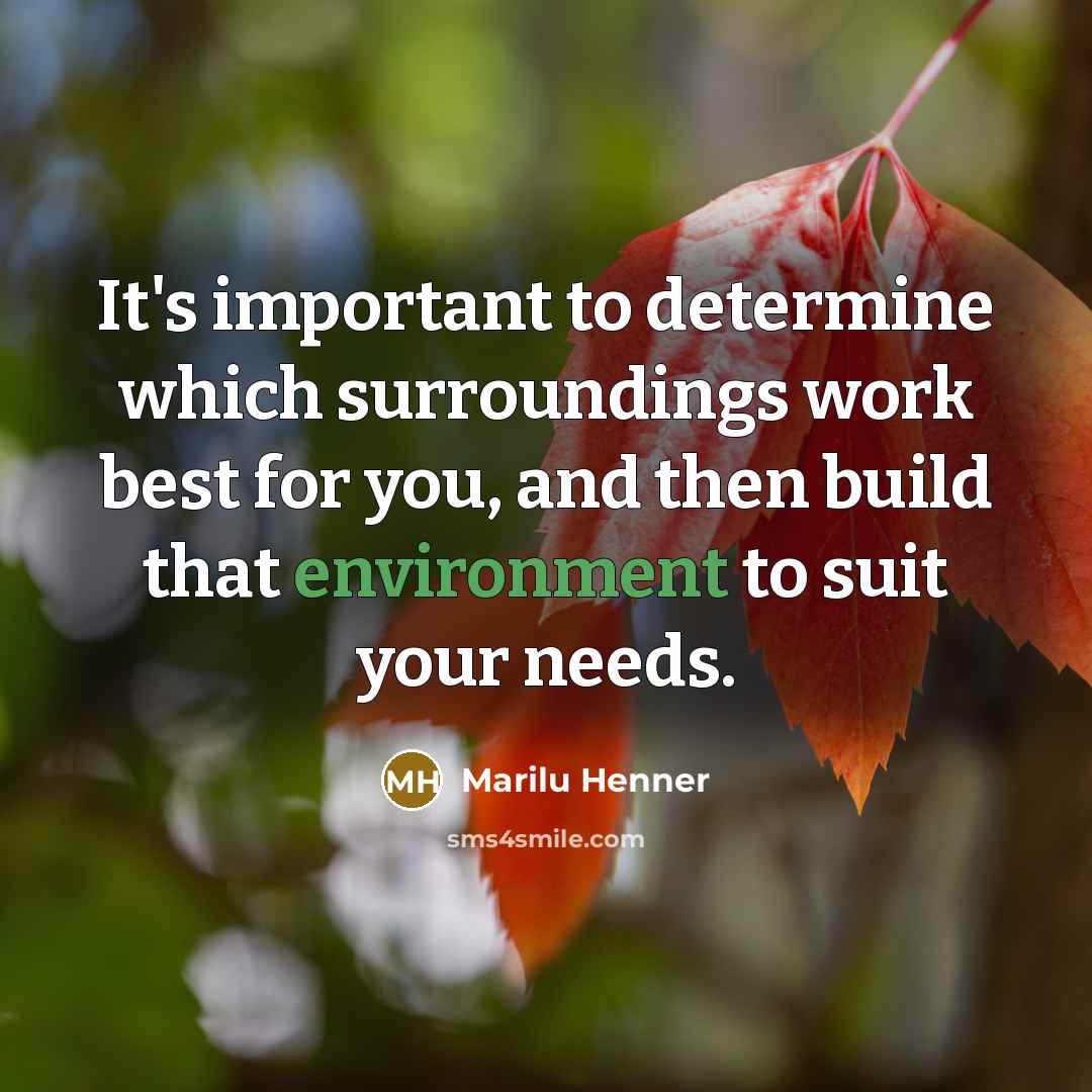 “It's important to determine which surroundings work best for you, and then build that environment to suit your needs.” quote by Marilu Henner