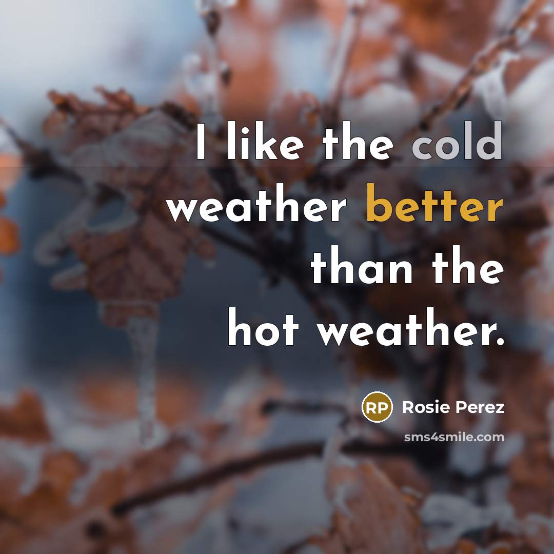 “I like the cold weather better than the hot weather.” quote by Rosie Perez