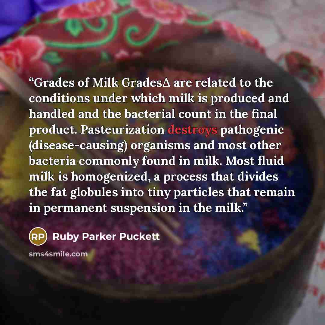 “Grades of Milk GradesΔ are related to the conditions under which milk is produced and handled and the bacterial count in the final product. Pasteurization destroys pathogenic (disease-causing) organisms and most other bacteria commonly found in milk. Most fluid milk is homogenized, a process that…” quote by Ruby Parker Puckett