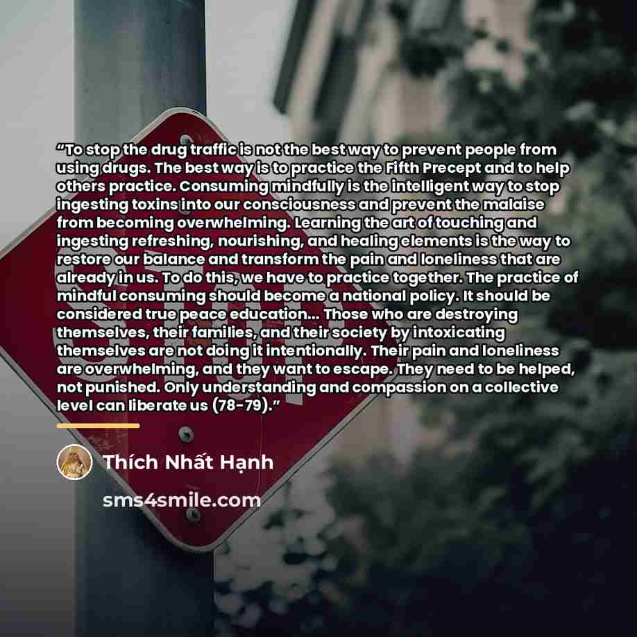 “To stop the drug traffic is not the best way to prevent people from using drugs. The best way is to practice the Fifth Precept and to help others practice. Consuming mindfully is the intelligent way to stop ingesting toxins into our consciousness and prevent the malaise from becoming overwhelming…” quote by Thich Nhat Hanh