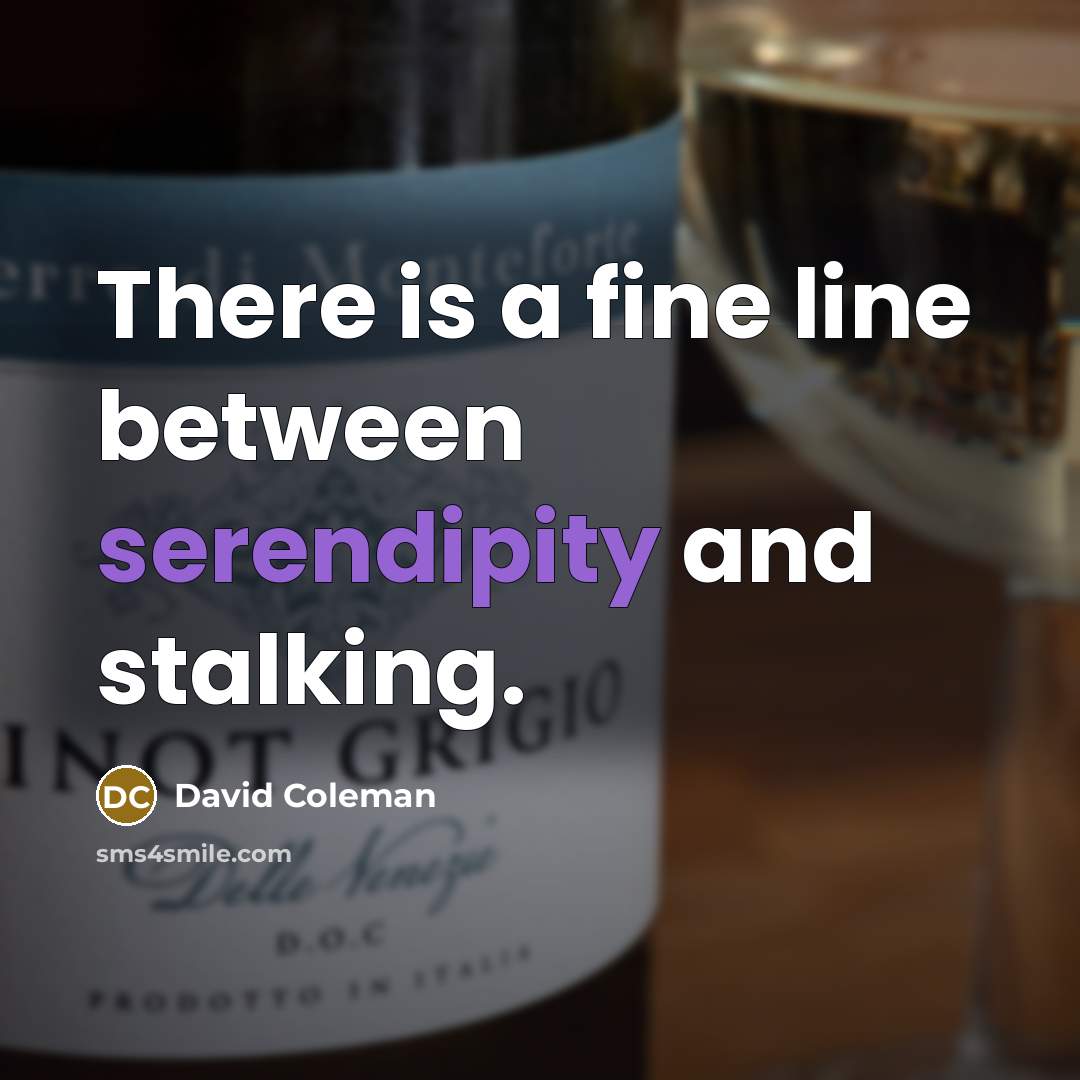 “There is a fine line between serendipity and stalking.” quote by David Coleman