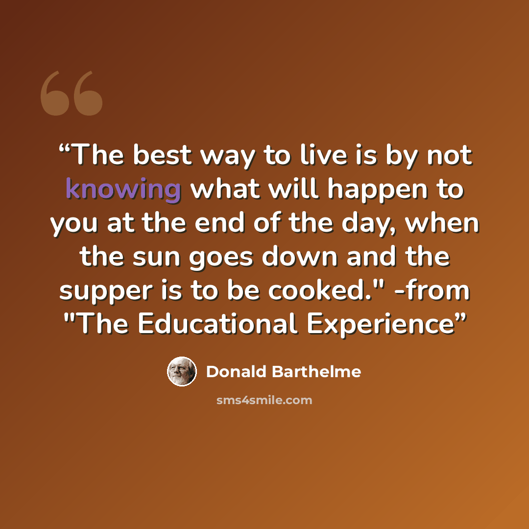 “The best way to live is by not knowing what will happen to you at the end of the day, when the sun goes down and the supper is to be cooked." -from "The Educational Experience” quote by Donald Barthelme