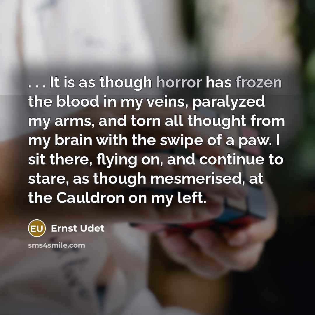 “. . . It is as though horror has frozen the blood in my veins, paralyzed my arms, and torn all thought from my brain with the swipe of a paw. I sit there, flying on, and continue to stare, as though mesmerised, at the Cauldron on my left.” quote by Ernst Udet