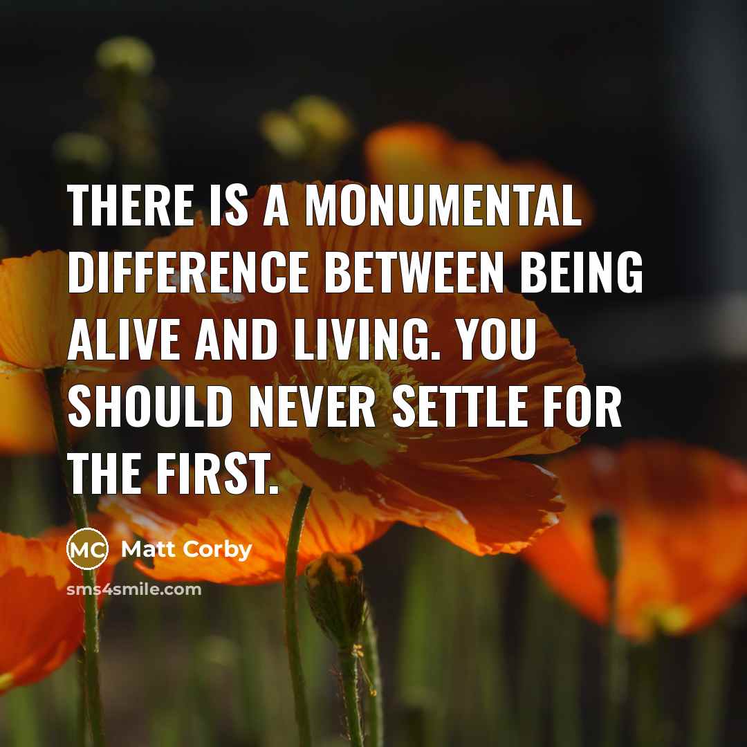 “There is a monumental difference between being alive and living. You should never settle for the first.” quote by Matt Corby