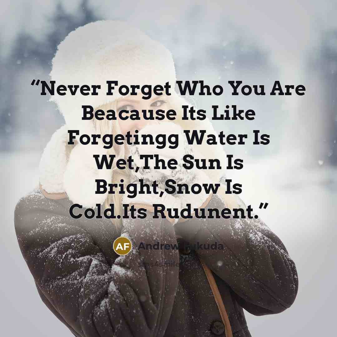 “Never Forget Who You Are Beacause Its Like Forgetingg Water Is Wet,The Sun Is Bright,Snow Is Cold.Its Rudunent.” quote by Andrew Fukuda