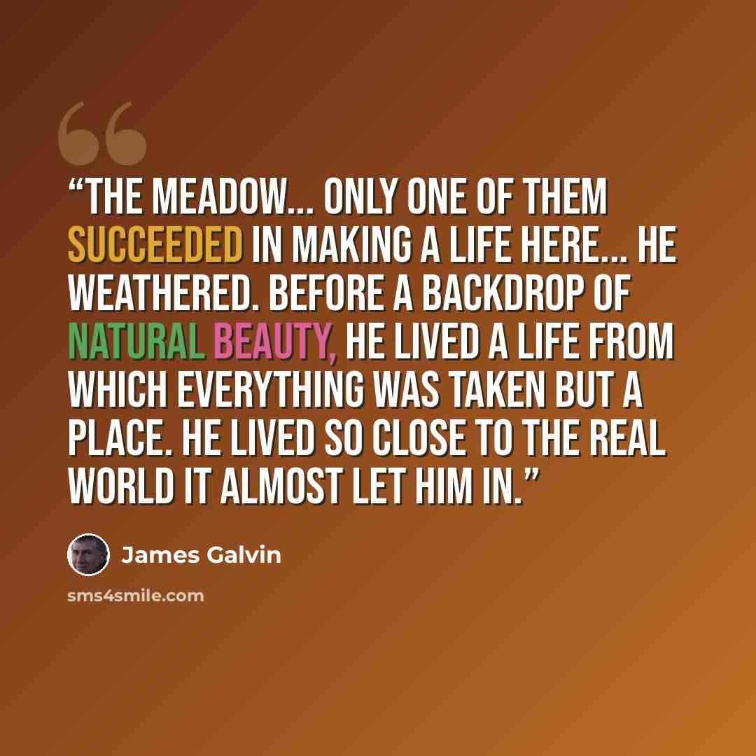 “The Meadow... Only one of them succeeded in making a life here... He weathered. Before a backdrop of natural beauty, he lived a life from which everything was taken but a place. He lived so close to the real world it almost let him in.” quote by James Galvin