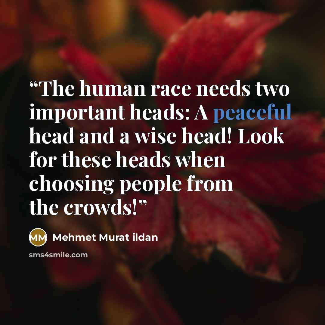 “The human race needs two important heads: A peaceful head and a wise head! Look for these heads when choosing people from the crowds!” quote by Mehmet Murat ildan