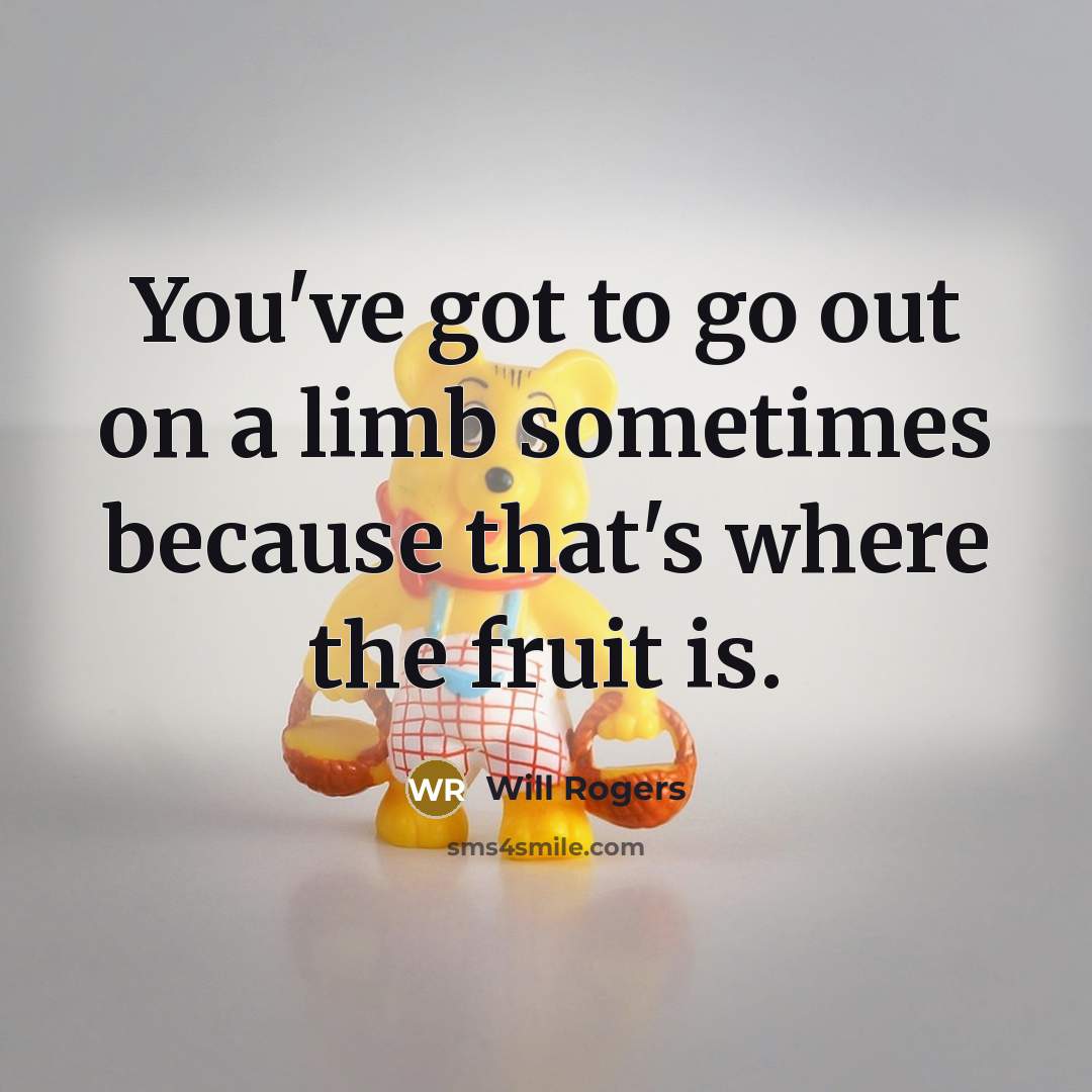 “You've got to go out on a limb sometimes because that's where the fruit is.” quote by Will Rogers