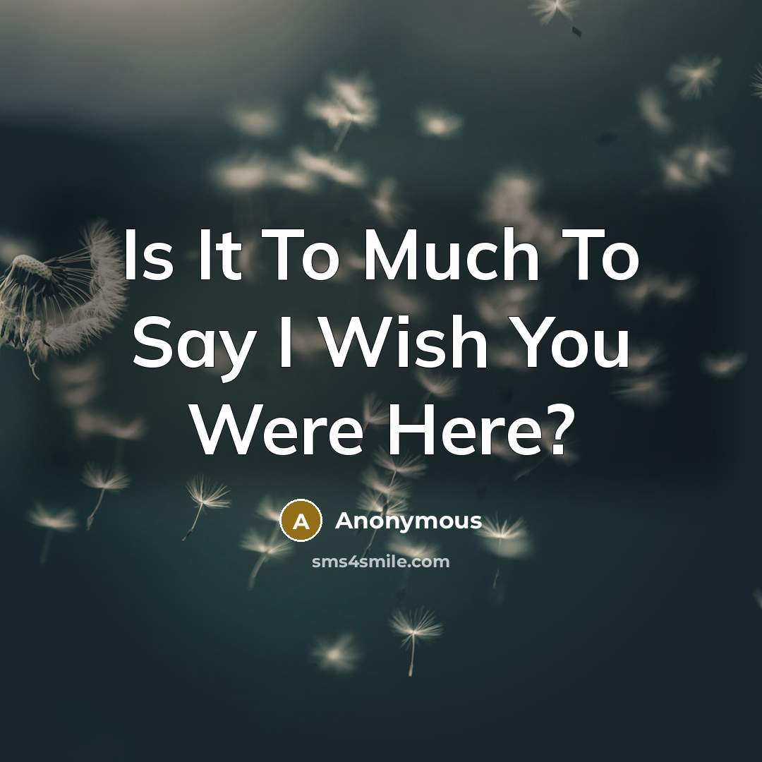 “Is It To Much To Say I Wish You Were Here?” quote by Anonymous