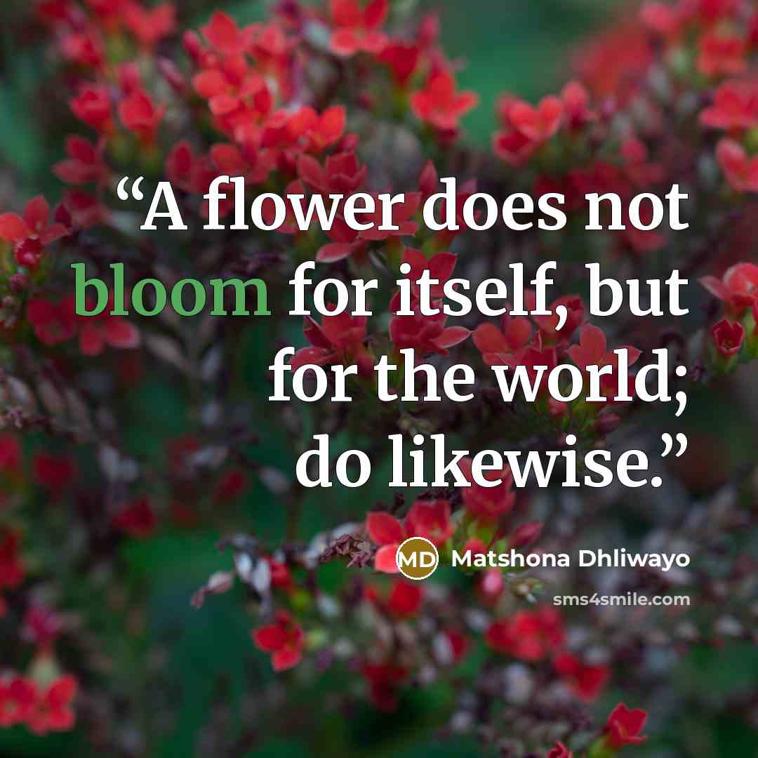 “A flower does not bloom for itself, but for the world; do likewise.” quote by Matshona Dhliwayo