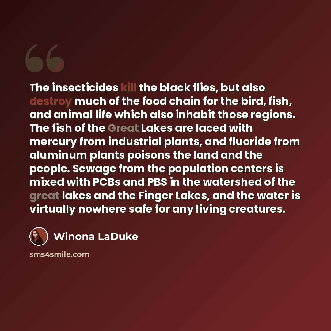 “The insecticides kill the black flies, but also destroy much of the food chain for the bird, fish, and animal life which also inhabit those regions. The fish of the Great Lakes are laced with mercury from industrial plants, and fluoride from aluminum plants poisons the land and the people. Sewage…” quote by Winona LaDuke