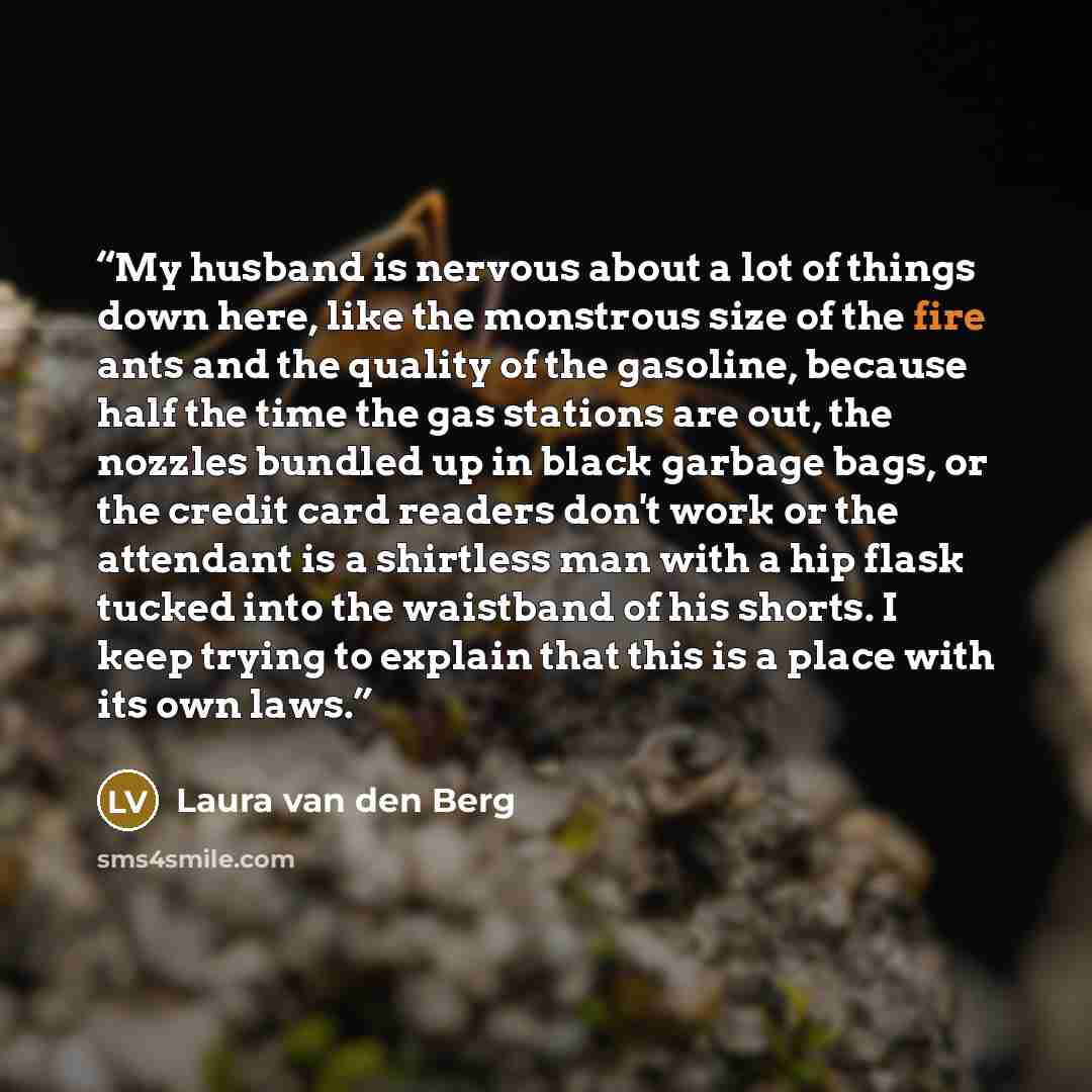 “My husband is nervous about a lot of things down here, like the monstrous size of the fire ants and the quality of the gasoline, because half the time the gas stations are out, the nozzles bundled up in black garbage bags, or the credit card readers don't work or the attendant is a shirtless man…” quote by Laura van den Berg