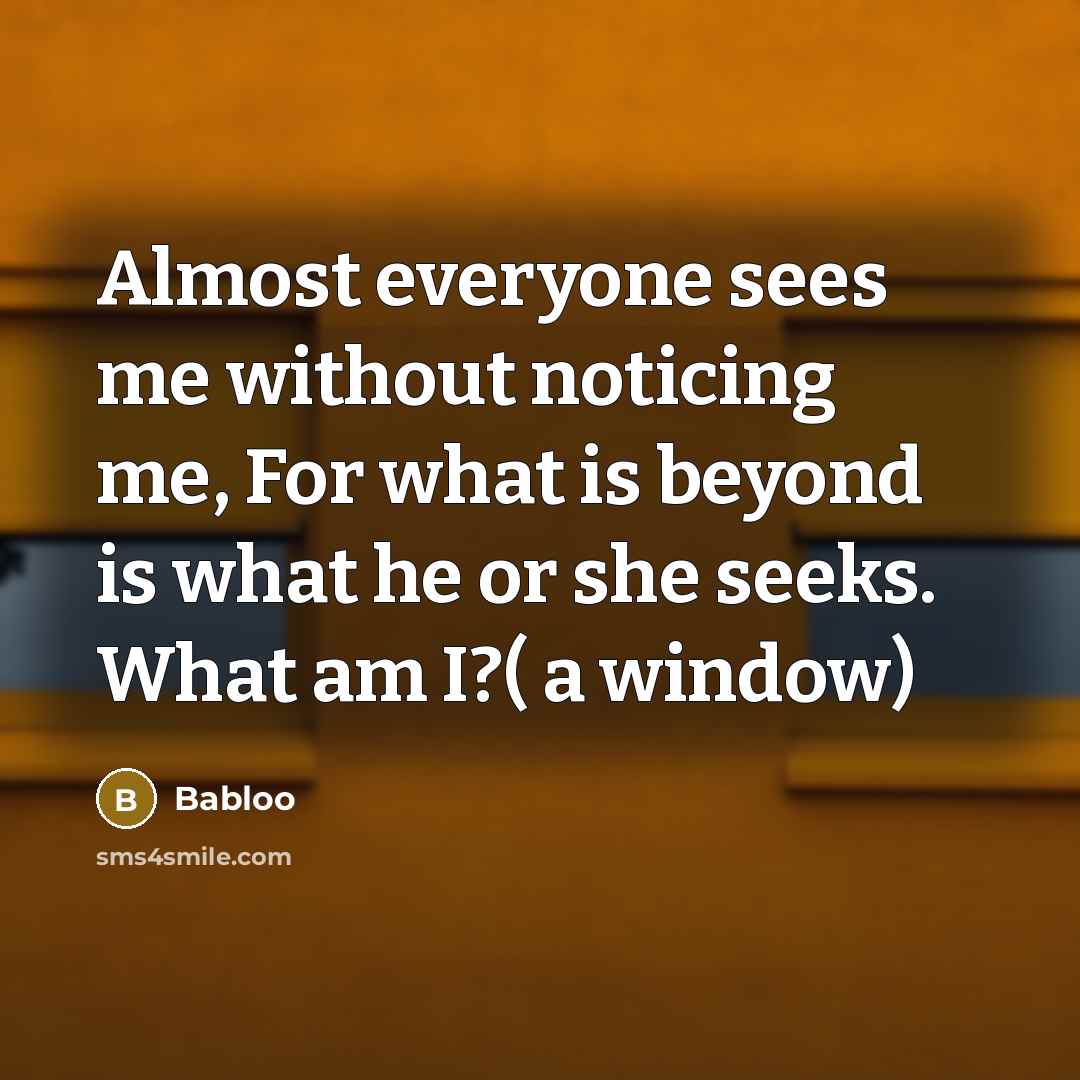“Almost everyone sees me without noticing me, For what is beyond is what he or she seeks. What am I?( a window)” quote by Babloo