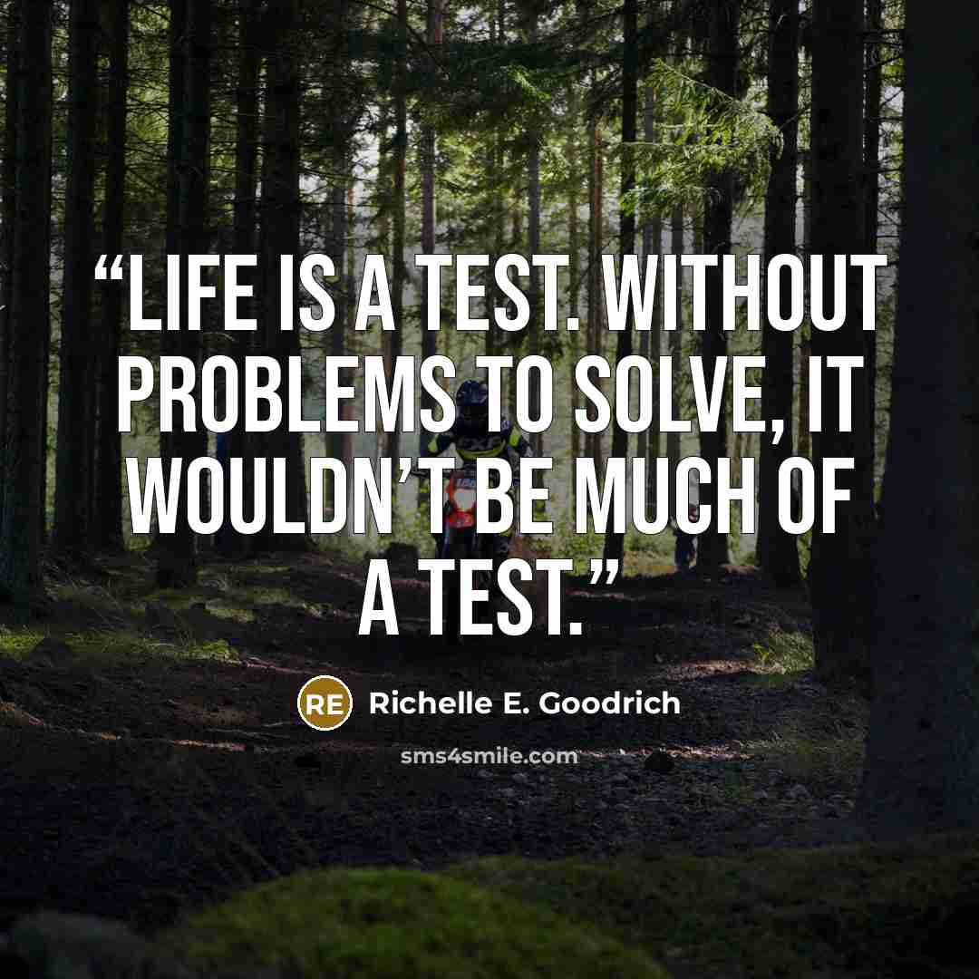 “Life is a test. Without problems to solve, it wouldn’t be much of a test.” quote by Richelle E. Goodrich