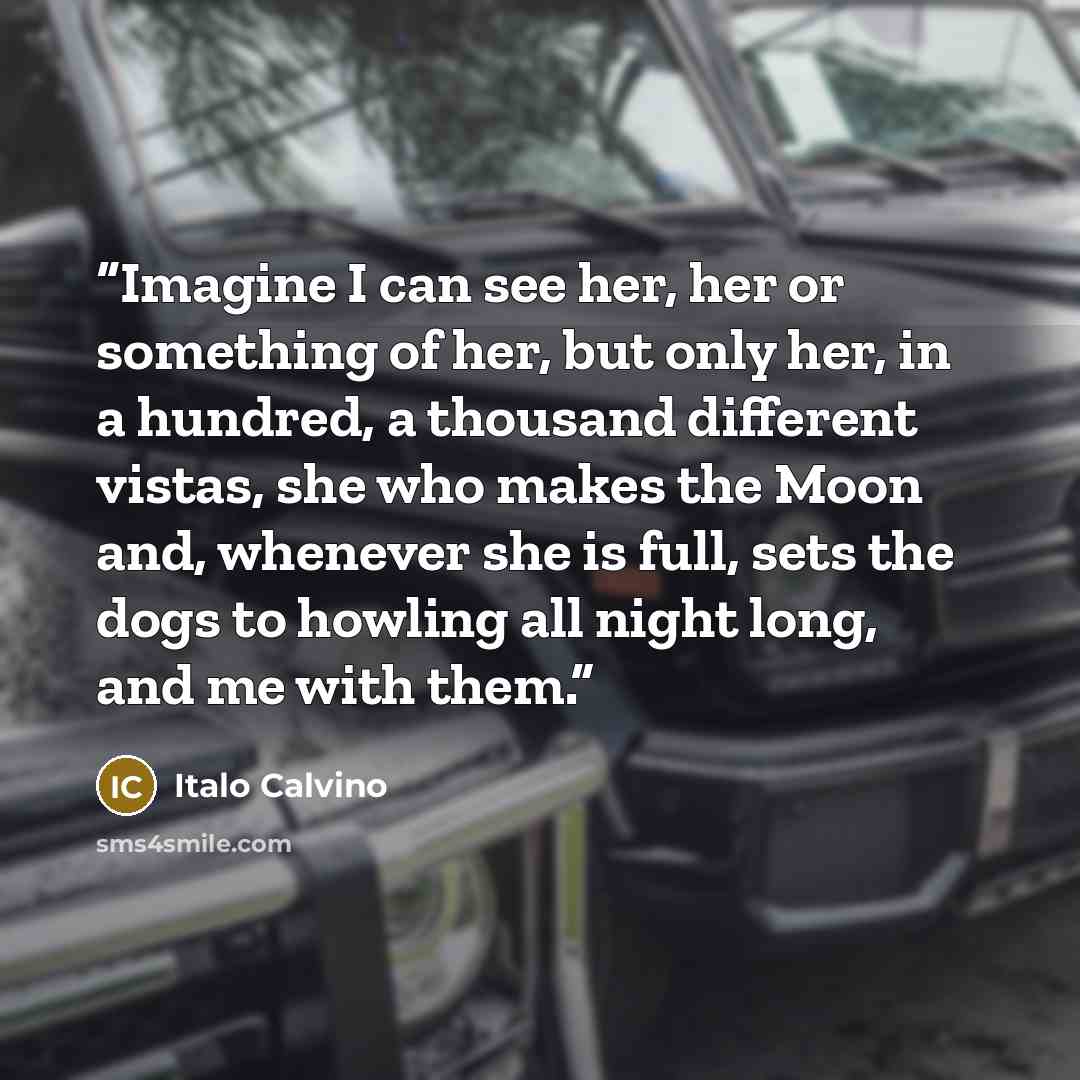 “Imagine I can see her, her or something of her, but only her, in a hundred, a thousand different vistas, she who makes the Moon and, whenever she is full, sets the dogs to howling all night long, and me with them.” quote by Italo Calvino