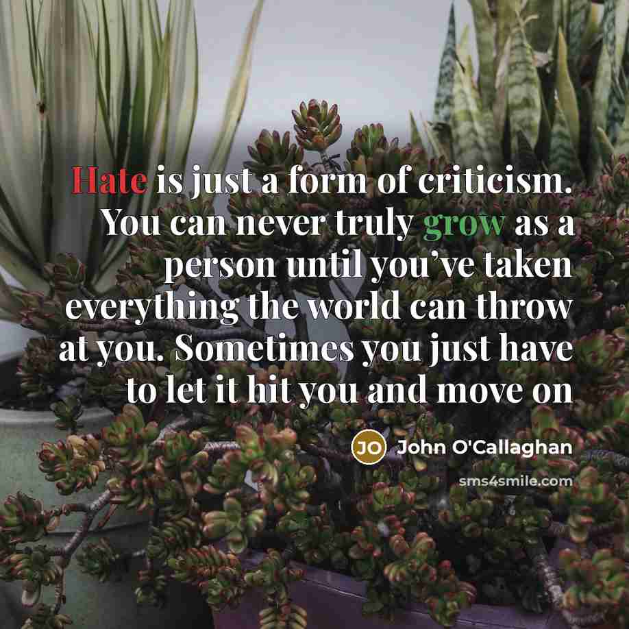 “Hate is just a form of criticism. You can never truly grow as a person until you’ve taken everything the world can throw at you. Sometimes you just have to let it hit you and move on” quote by John O'Callaghan