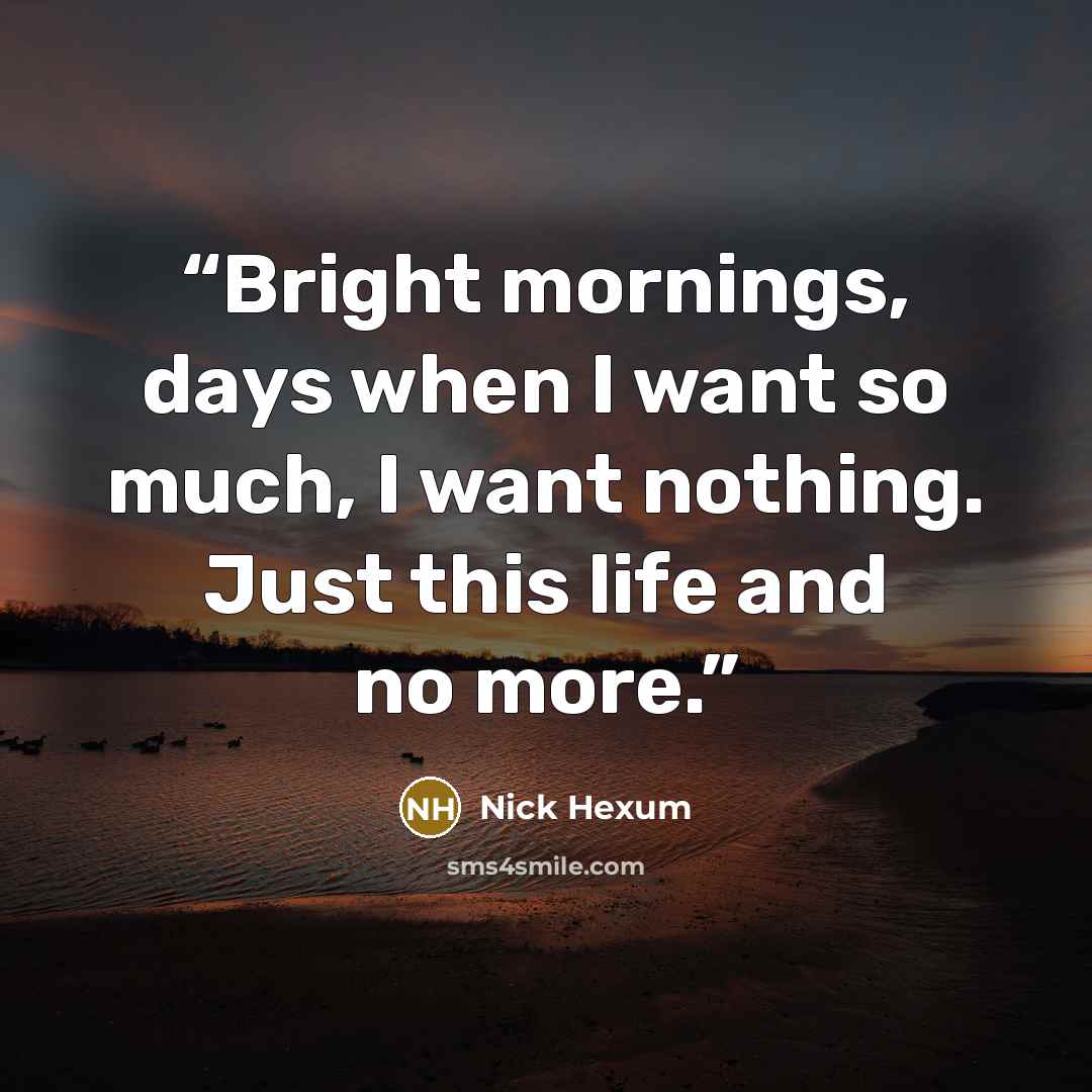 “Bright mornings, days when I want so much, I want nothing. Just this life and no more.” quote by Nick Hexum