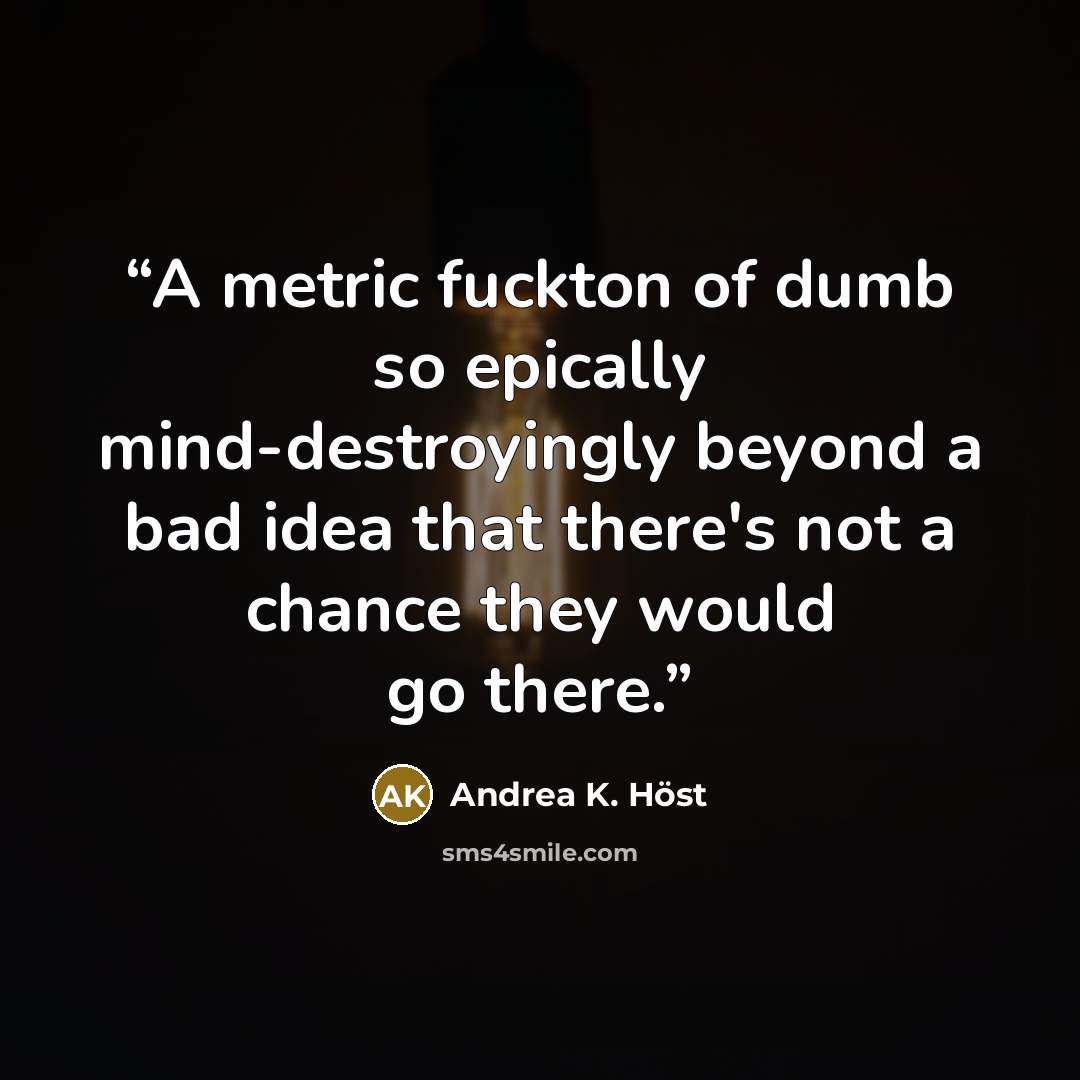 “A metric fuckton of dumb so epically mind-destroyingly beyond a bad idea that there's not a chance they would go there.” quote by Andrea K. Höst