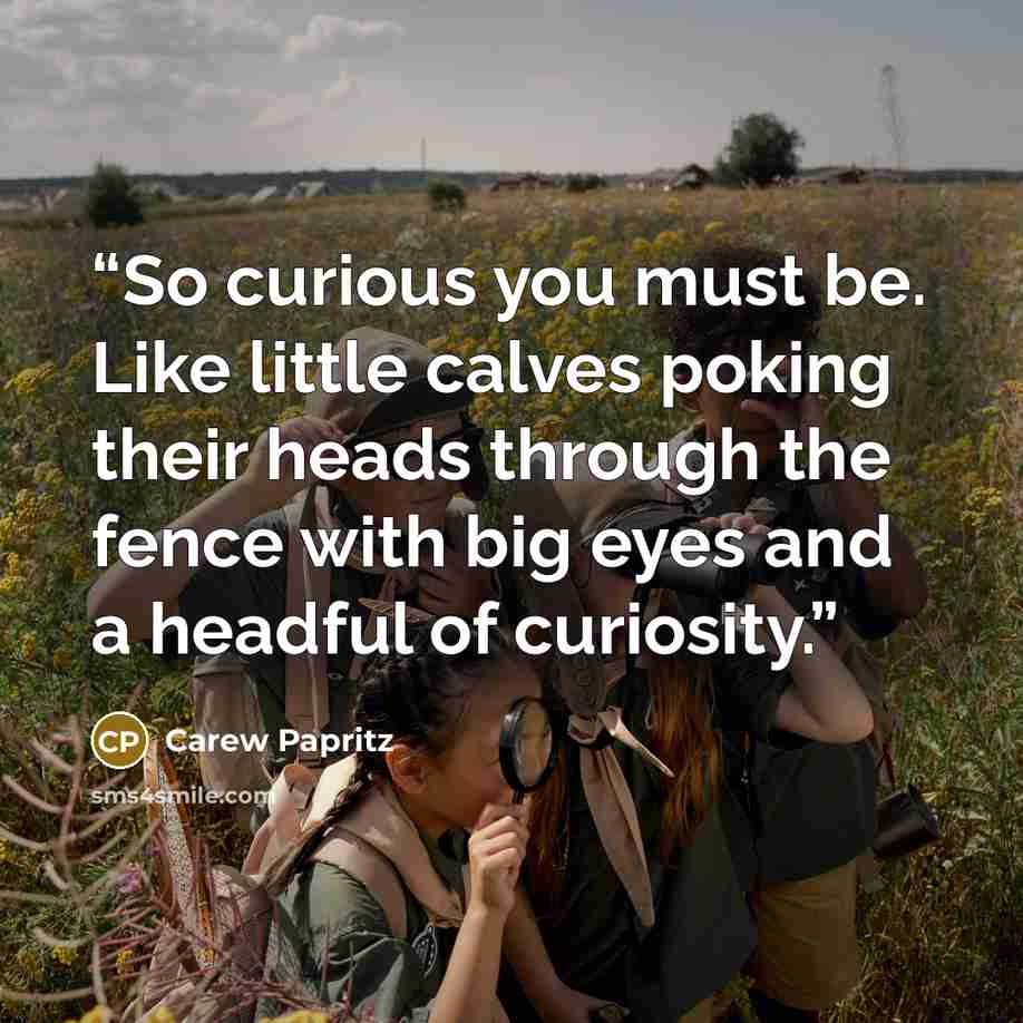 “So curious you must be. Like little calves poking their heads through the fence with big eyes and a headful of curiosity.” quote by Carew Papritz