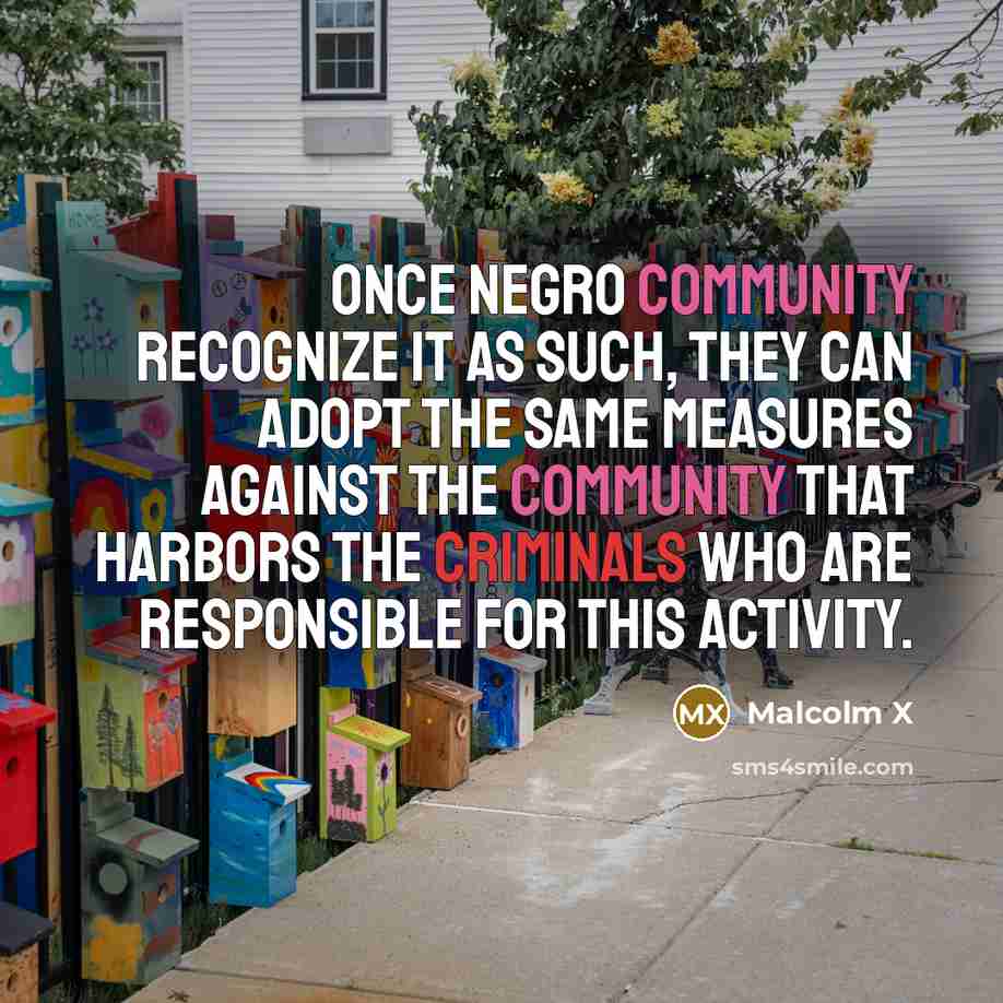 “Once negro community recognize it as such, they can adopt the same measures against the community that harbors the criminals who are responsible for this activity.” quote by Malcolm X
