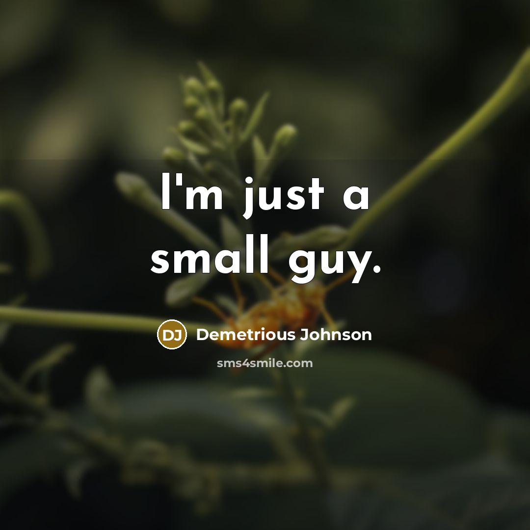 “I'm just a small guy.” quote by Demetrious Johnson