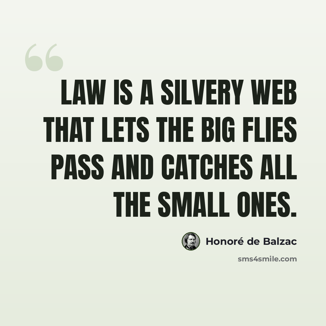 “Law is a silvery web that lets the big flies pass and catches all the small ones.” quote by Honore de Balzac