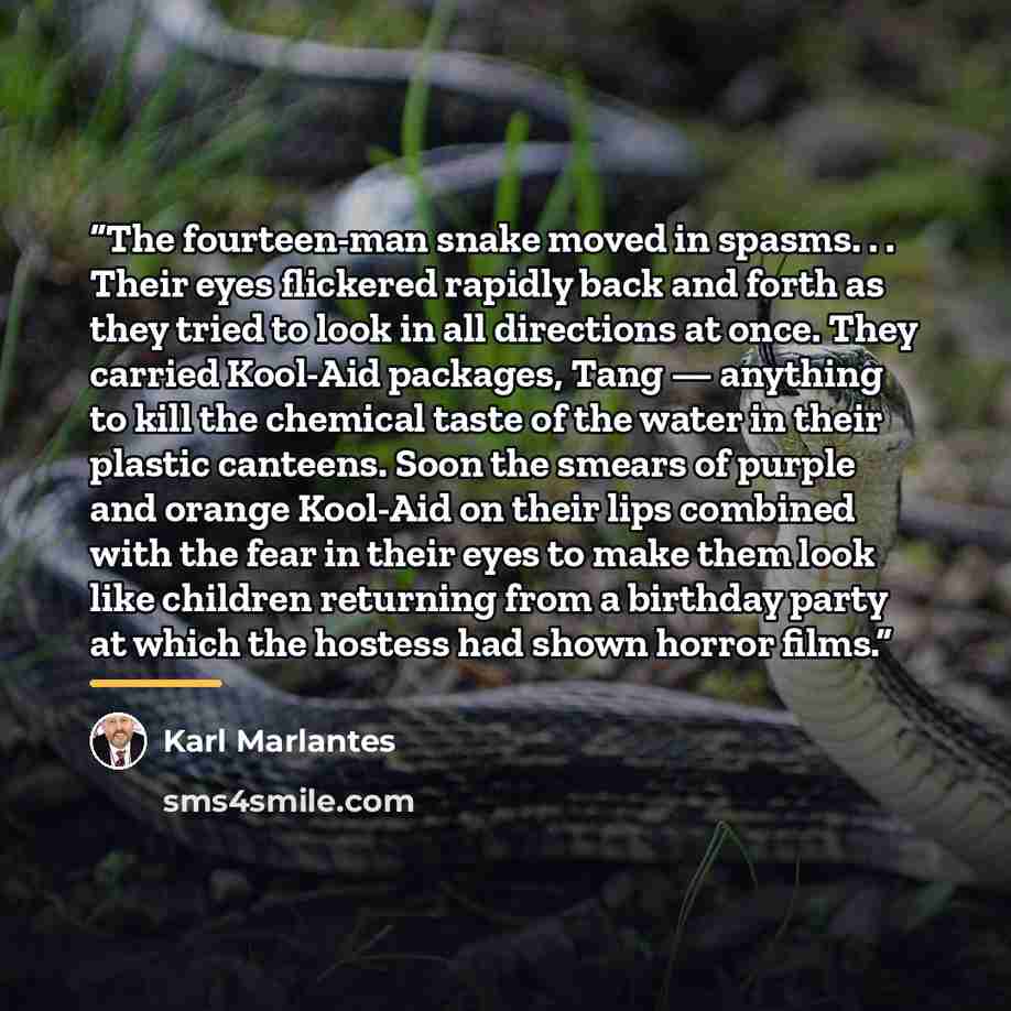 “The fourteen-man snake moved in spasms. . . Their eyes flickered rapidly back and forth as they tried to look in all directions at once. They carried Kool-Aid packages, Tang — anything to kill the chemical taste of the water in their plastic canteens. Soon the smears of purple and orange Kool-Aid…” quote by Karl Marlantes
