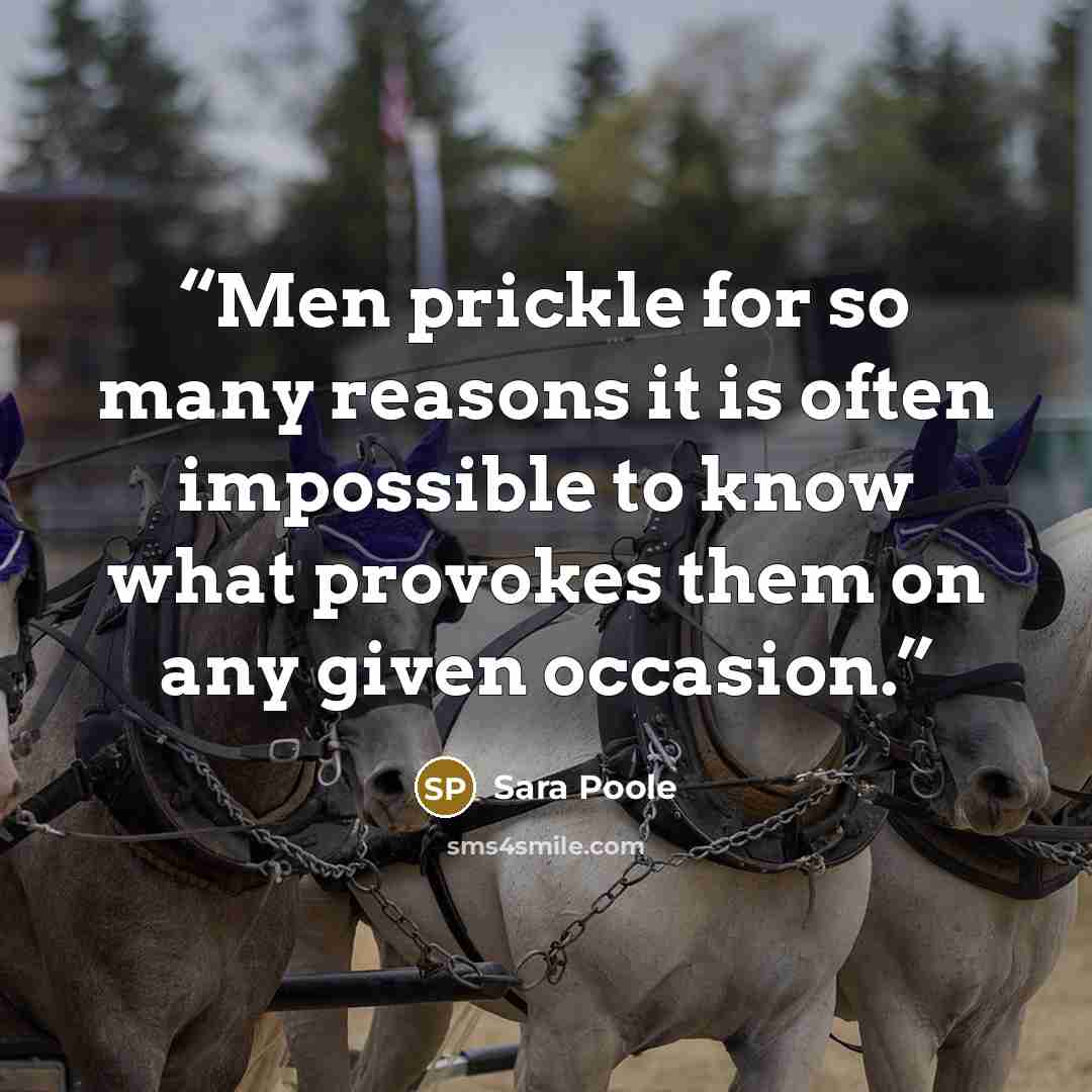 “Men prickle for so many reasons it is often impossible to know what provokes them on any given occasion.” quote by Sara Poole