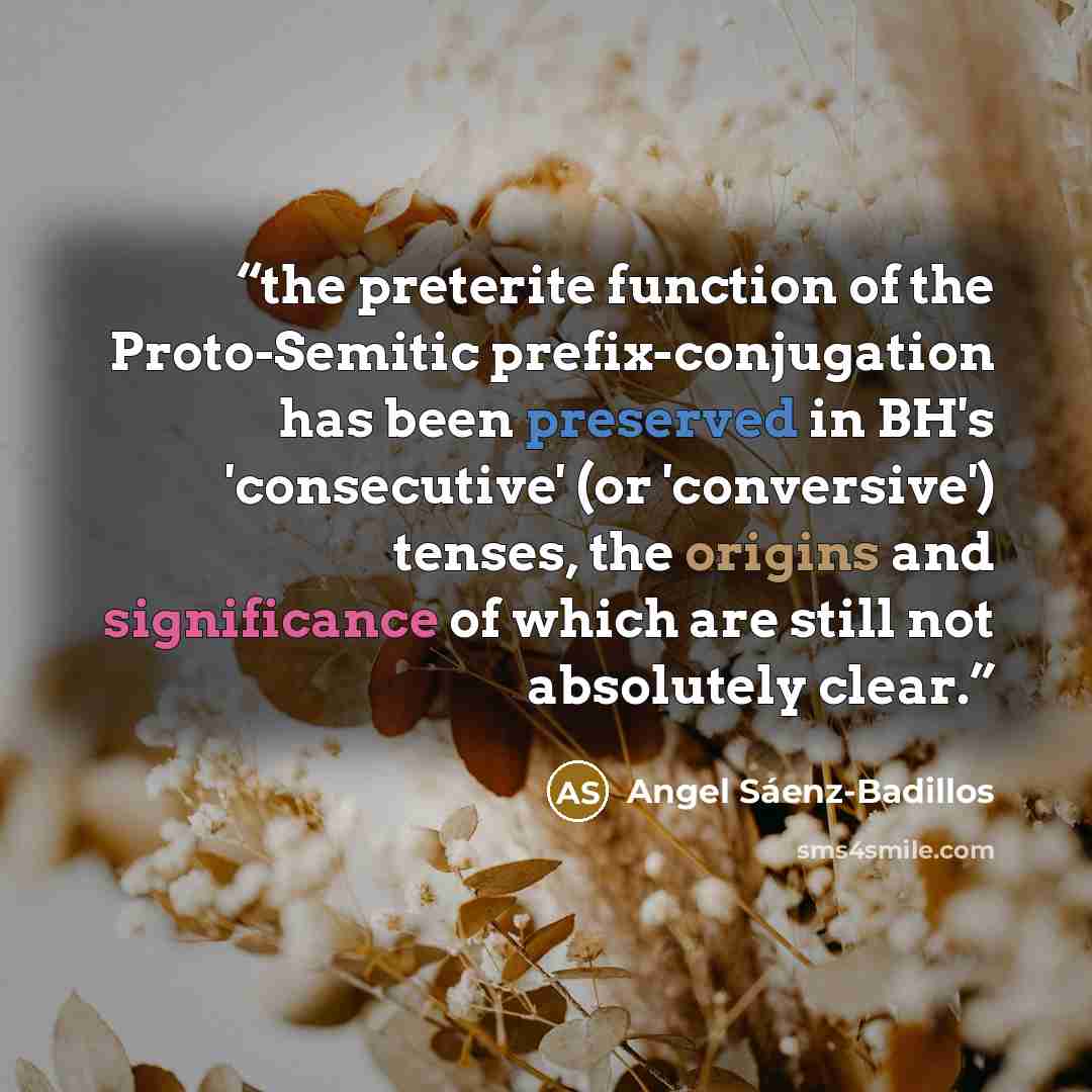 “the preterite function of the Proto-Semitic prefix-conjugation has been preserved in BH's 'consecutive' (or 'conversive') tenses, the origins and significance of which are still not absolutely clear.” quote by Angel Sáenz-Badillos