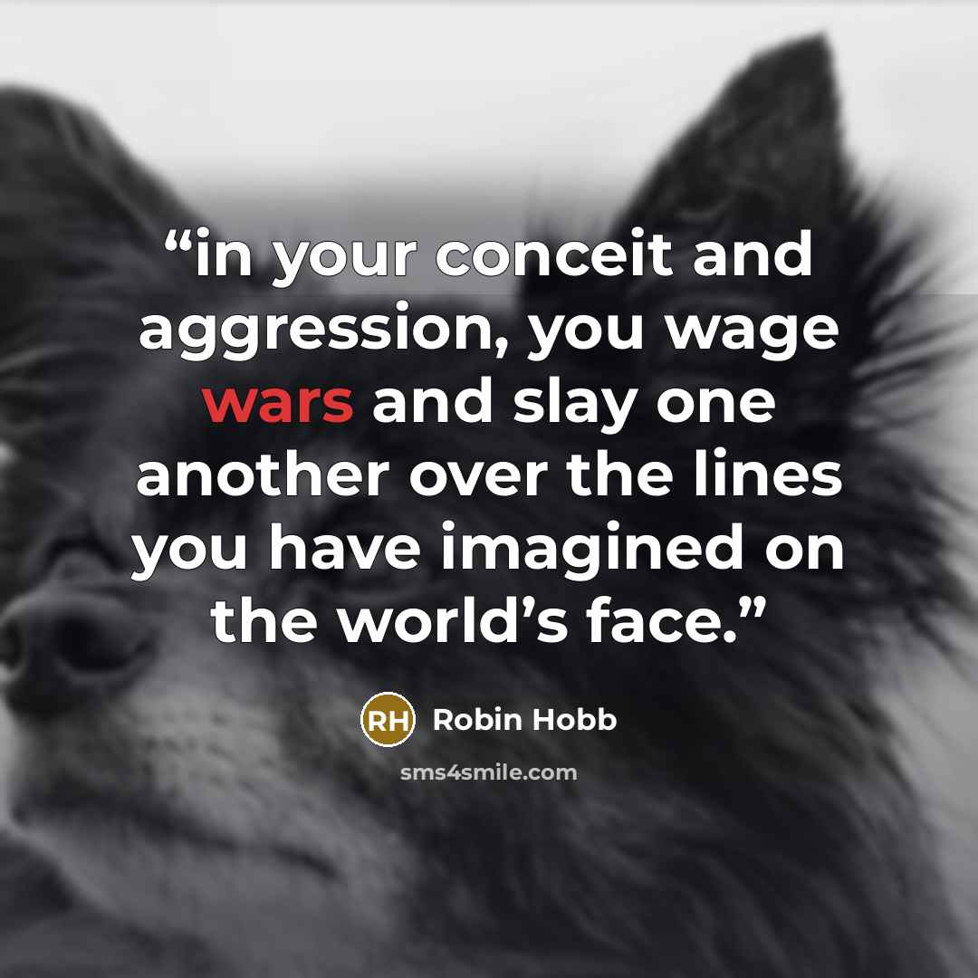 “in your conceit and aggression, you wage wars and slay one another over the lines you have imagined on the world’s face.” quote by Robin Hobb
