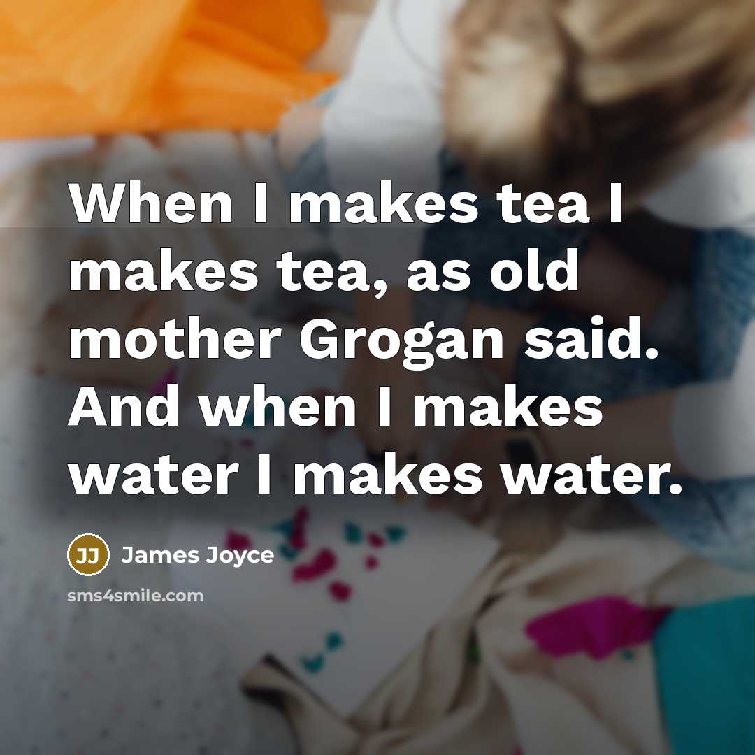 “When I makes tea I makes tea, as old mother Grogan said. And when I makes water I makes water.” quote by James Joyce