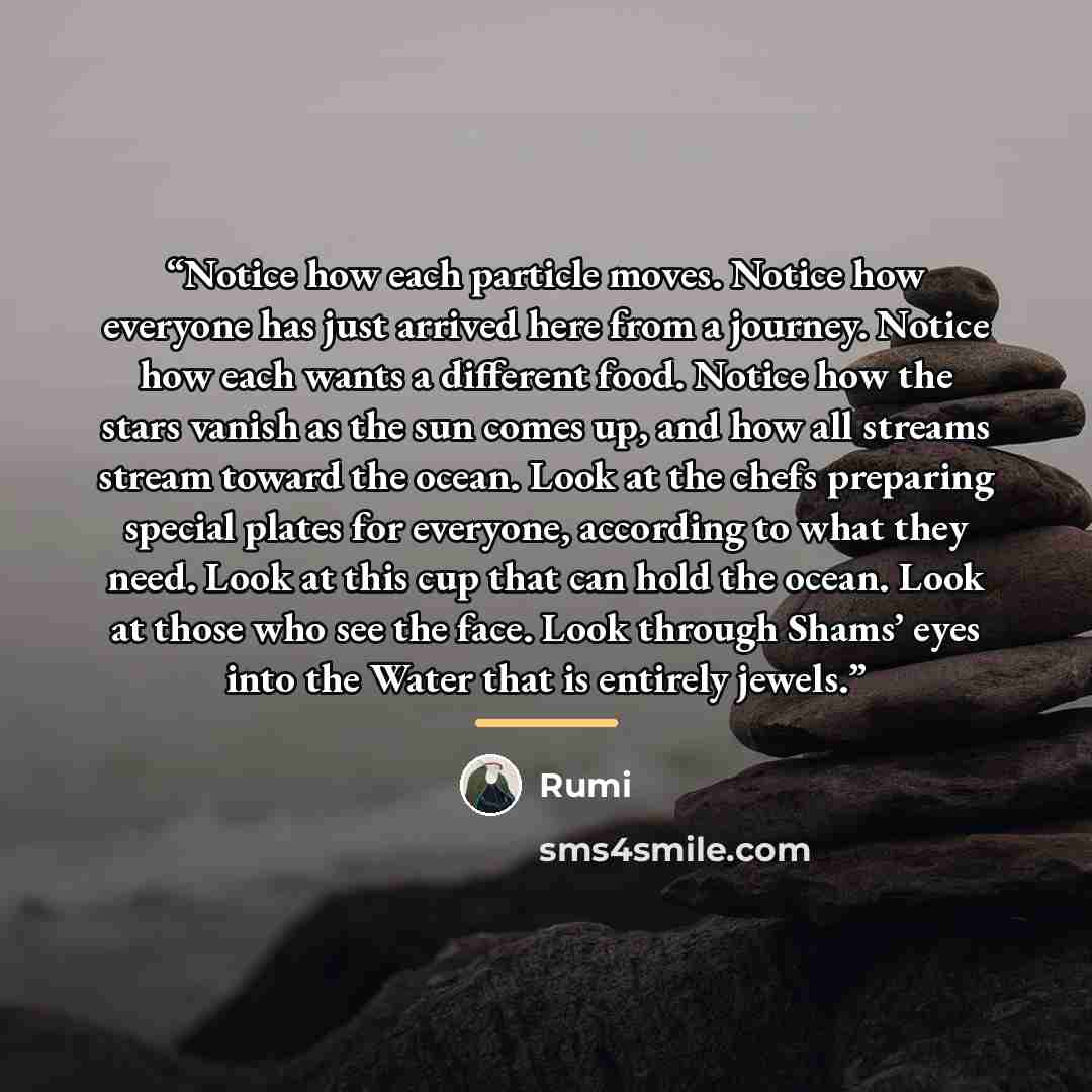“Notice how each particle moves. Notice how everyone has just arrived here from a journey. Notice how each wants a different food. Notice how the stars vanish as the sun comes up, and how all streams stream toward the ocean. Look at the chefs preparing special plates for everyone, according to what…” quote by Rumi