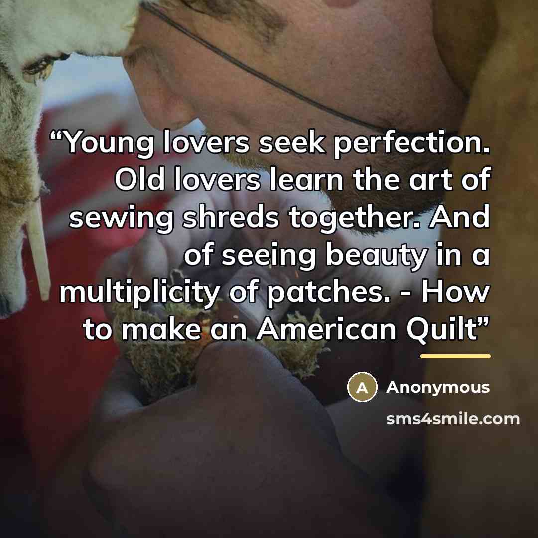 “Young lovers seek perfection. Old lovers learn the art of sewing shreds together. And of seeing beauty in a multiplicity of patches. - How to make an American Quilt” quote by Anonymous