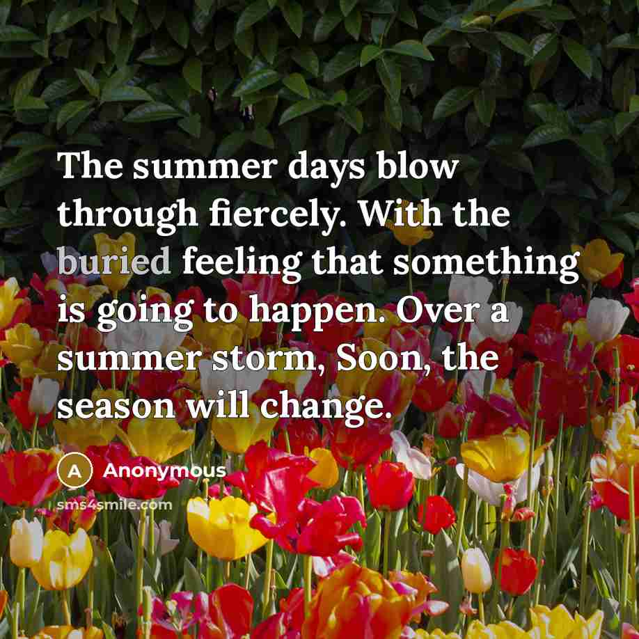 “The summer days blow through fiercely. With the buried feeling that something is going to happen. Over a summer storm, Soon, the season will change.” quote by Anonymous