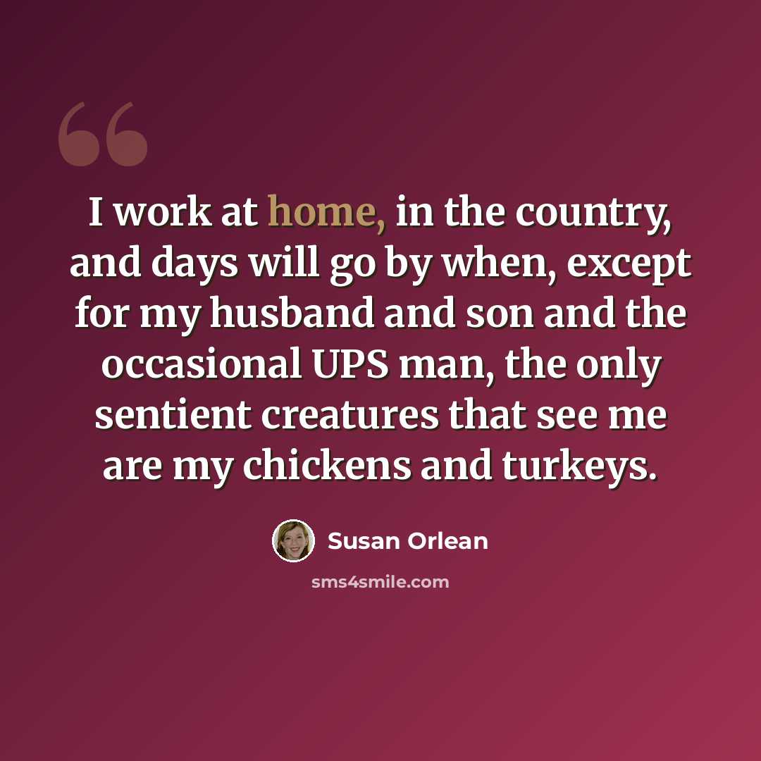 “I work at home, in the country, and days will go by when, except for my husband and son and the occasional UPS man, the only sentient creatures that see me are my chickens and turkeys.” quote by Susan Orlean
