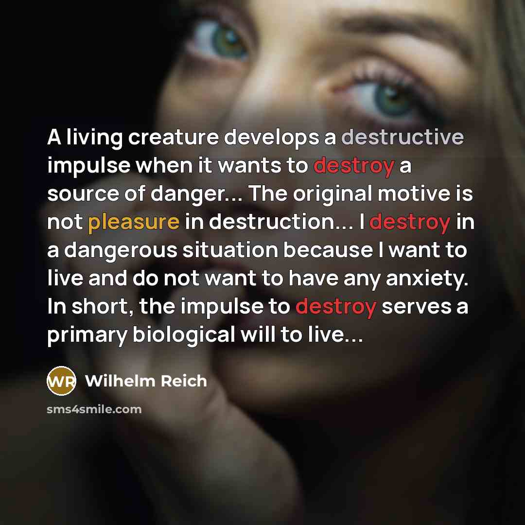 “A living creature develops a destructive impulse when it wants to destroy a source of danger... The original motive is not pleasure in destruction... I destroy in a dangerous situation because I want to live and do not want to have any anxiety. In short, the impulse to destroy serves a primary…” quote by Wilhelm Reich